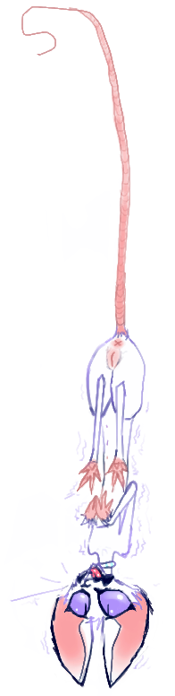 knQLG.png