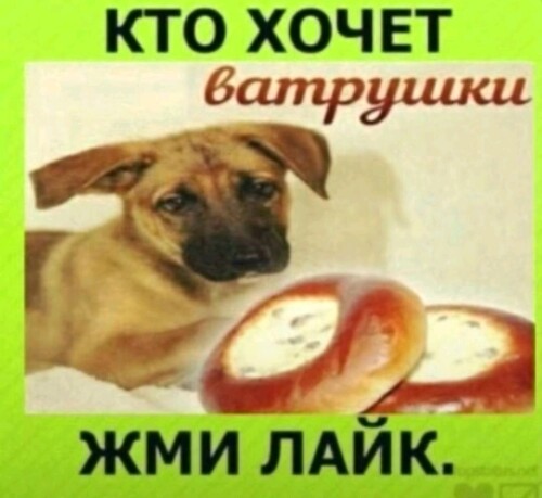 knzlC.jpg