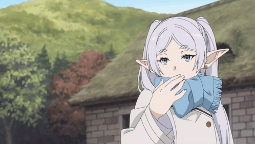 kocOa.gif