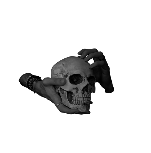 01ea92d624d01217b901ba9891c3fa93 1