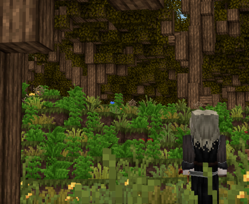 Археград прошлое 1