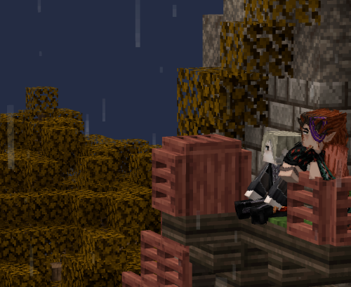 Магистериум 11