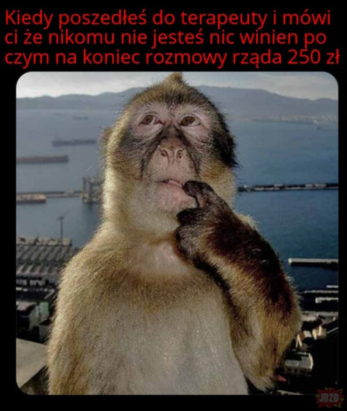 mHzkZ.jpeg