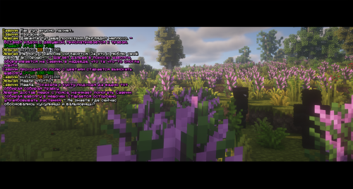 ЗаготовкаШаволги2