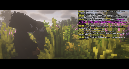 ЗаготовкаШаволги3