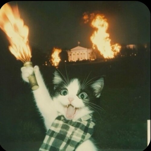 Screenshot ۲۰۲۵۱۲۱۱ ۱۹۱۵۵۳ Chrome