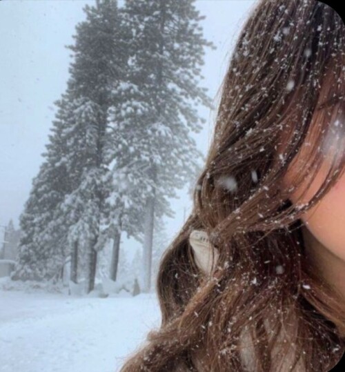 Screenshot ۲۰۲۵۱۲۱۱ ۱۹۱۲۴۴ Chrome