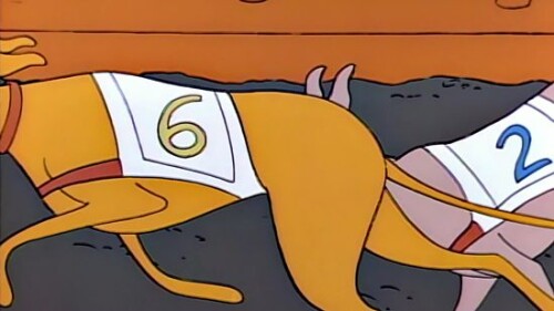 5UeVu.jpeg
