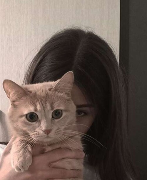 Screenshot ۲۰۲۵۱۲۱۳ ۲۰۴۹۵۳ Chrome