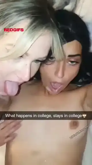 37678661.mp4 [video to webp output image] 1