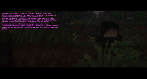 ОтварКайена2