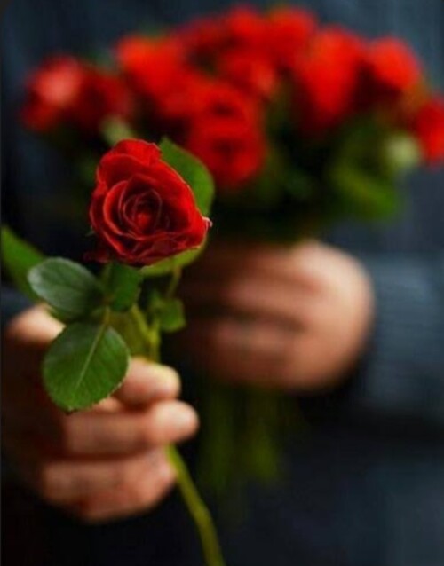 Screenshot ۲۰۲۵۱۲۲۴ ۰۳۰۵۵۰ Google