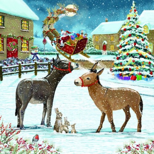 d25720 the magic of christmas eve christmas cards pack of 10