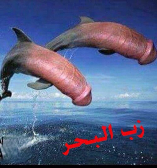 inbound1390983535881355337