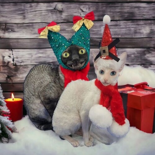 2d0449df4ba1f5f1242b84ba57e83973