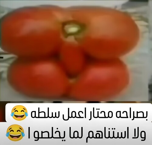 486090215 1844655022974643 4957070048621461841 n ١٢٥٦٠١