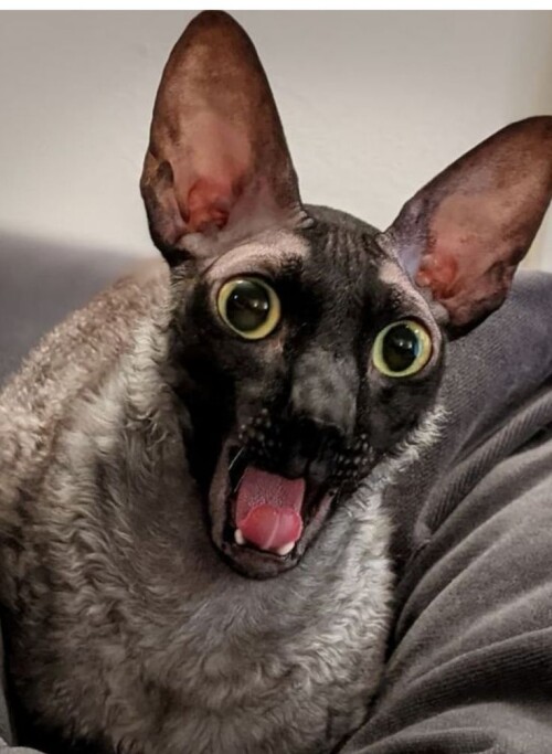 b24d8a3745df85b4d916b058486def43