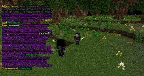 бой с Ирвином1