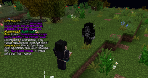 Бой с Ирвином3