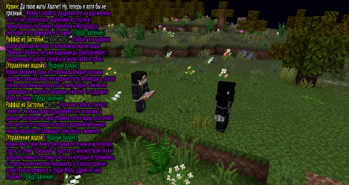 бой с Ирвином2