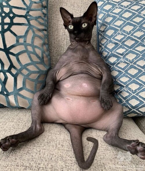 fd49851852346c82701f3ba62e5a166d