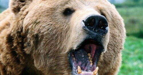 img f8017b368385e6b0e1862f54c2cdec2e1089565