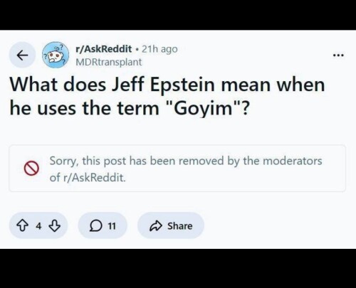 IMG 20260204 113242 275