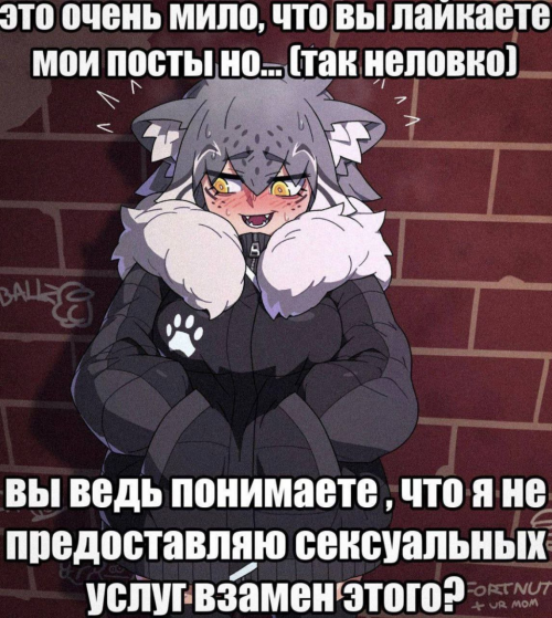 изображение 2026 02 06 143326550