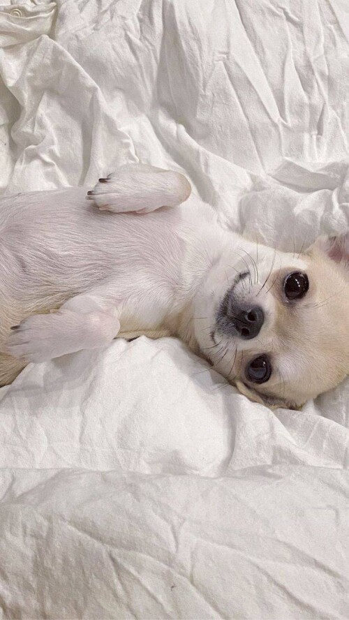 ac4f9d3acd7fbed988e79d763531d6bb