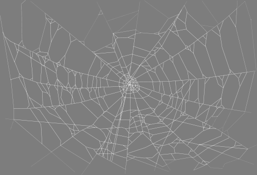  Export 2026 03 07 23 44 03 ct socks