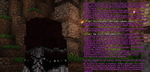 Контрактик2