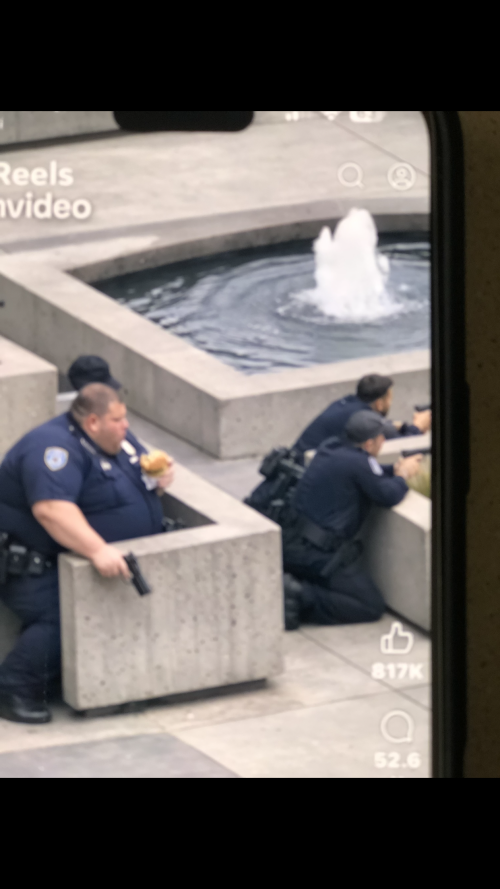 ZMDsZ.png