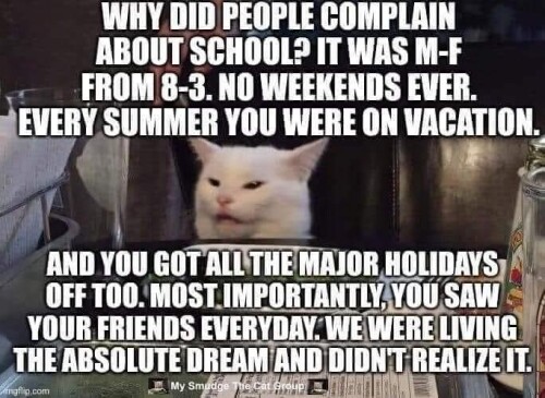 662006270 952180354410652 6367307050775460 n