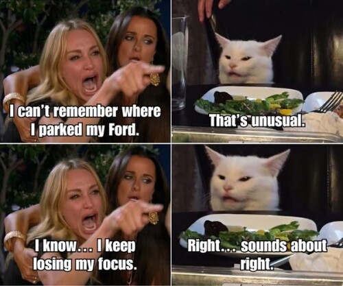 660726927 122252414696127383 7342007354158664789 n