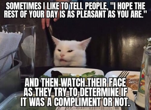 660372558 122302268126208772 4202625968660823812 n