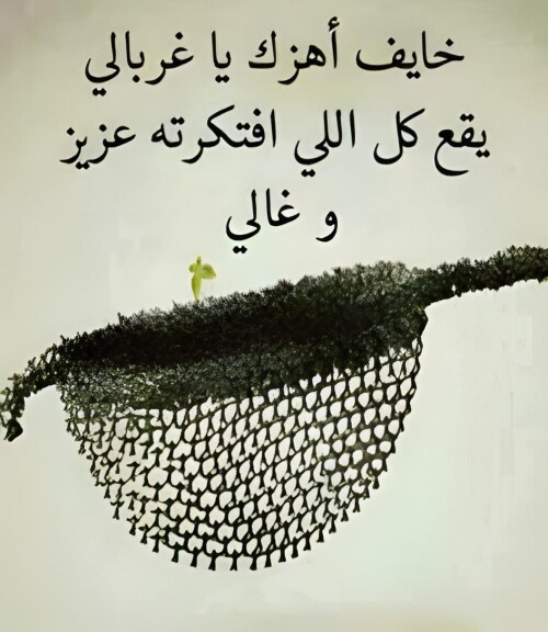 3662f43a37ffc94f7ea12dfbf3ae117f ٠٥٥٣١١