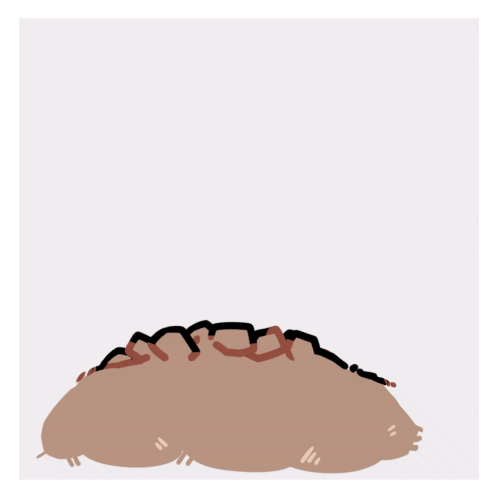 Poncirus