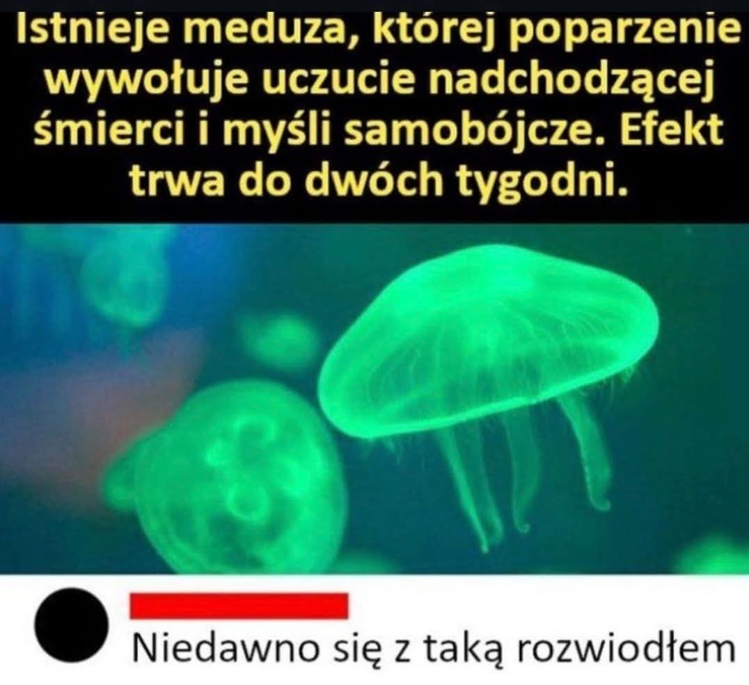 gRhgX.jpg