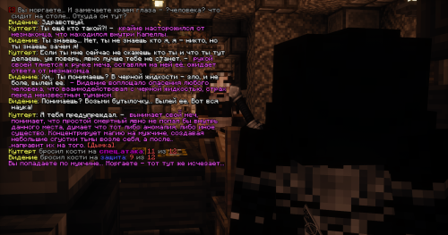 Бой с тенью1