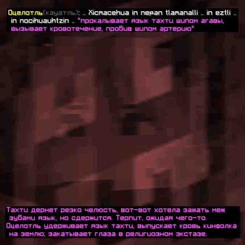 cc5