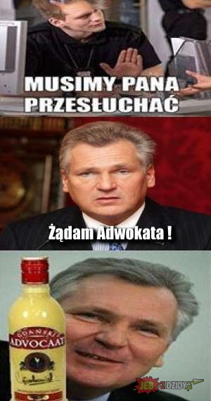 zlgqO.jpeg