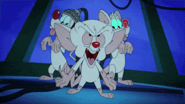 pinky and the brain brain