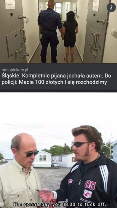 zsiiz.png