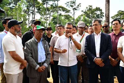 আসুন আমাদের সন্তানদের বুক ভরে শ্বাস নিতে একটি করে গাছ লাগাই : প্রধানমন্ত্রী