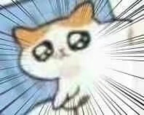 猫猫头