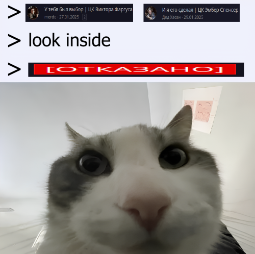 cat looks inside meme v0 86uebmt9zz8f1