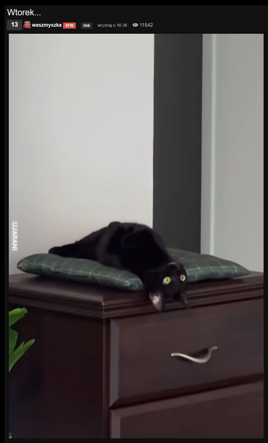 77tMv.png