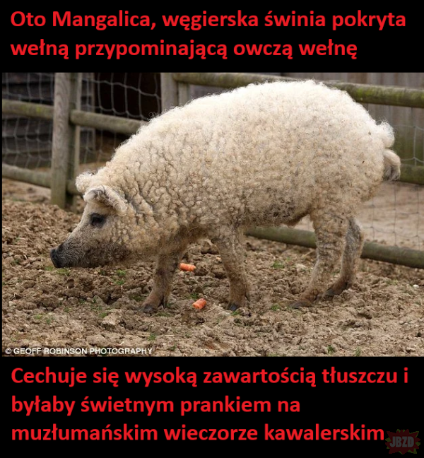 7QVSo.png