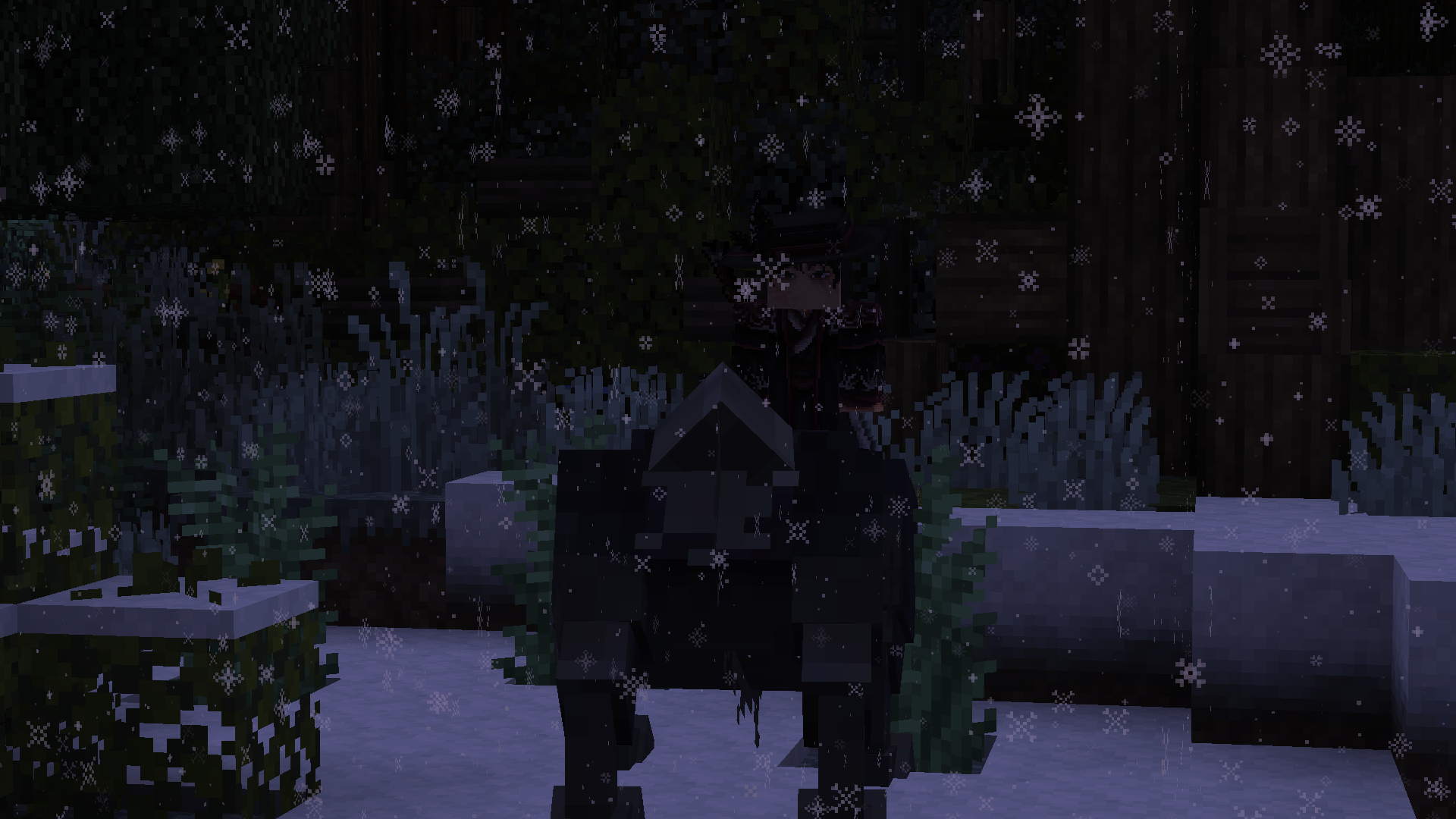 pixvid.org