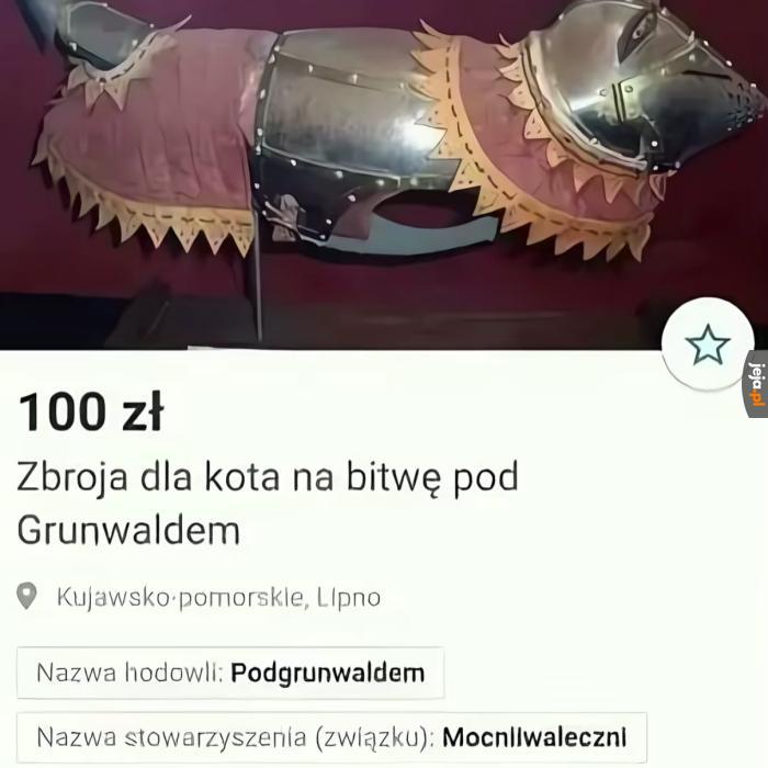 7uhDZ.jpg